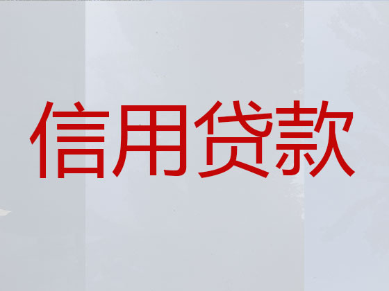 河津市抵押贷款公司-信用贷款